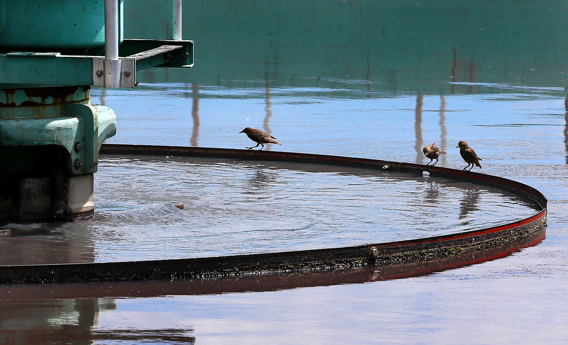 Hidden Places: La Crosse Wastewater Treatment Plant